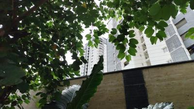 Image of 1840 Sq.ft 3 BHK Apartment / Flat for sale in My Home Tridasa, Tellapur, Sangareddy for Rs. 21000000