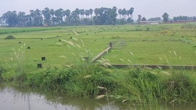 Image of 2712 Sq.ft Residential Plot / Land for sale in Naubatpur, Patna for Rs. 3000000