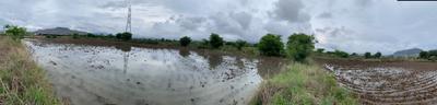 Bhadrakali Plot View 1