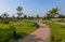 Akira Havenwoods Main Image 1