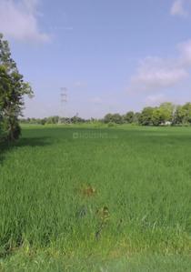 Image of 17424 Sq.ft Residential Plot / Land for sale in Virsad, Anand for Rs. 1600000