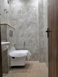 Common Bathroom Image of 600 Sq.ft 2 BHK Apartment / Flat for sale in Dream Luxury Floors, Mahavir Enclave New Delhi for Rs. 5500000
