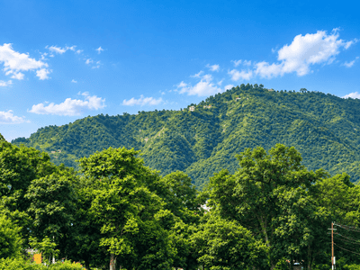 Image of 245 Sq.ft Residential Plot / Land for sale in Mussoorie Road, Dehradun for Rs. 28175000
