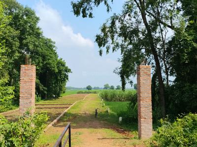 Image of 1200 Sq.ft Residential Plot / Land for sale in Bikram, Patna for Rs. 1800000