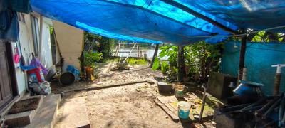Balcony Image of 1000 Sq.ft 3 BHK Independent House for sale in Koonammavu Kochi for Rs. 600000