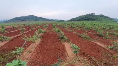 Image of 100 Sq.ft Residential Plot / Land for sale in Kothavalasa, Visakhapatnam for Rs. 600000