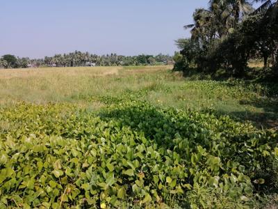 Image of 2500 Sq.ft Residential Plot / Land for sale in Brajalalchak, Haldia for Rs. 31000000
