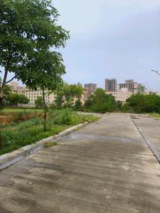 Image of 2547 Sq.ft Residential Plot / Land for sale in Orris Woodview Residencies, Sector 89, Gurgaon for Rs. 46695000