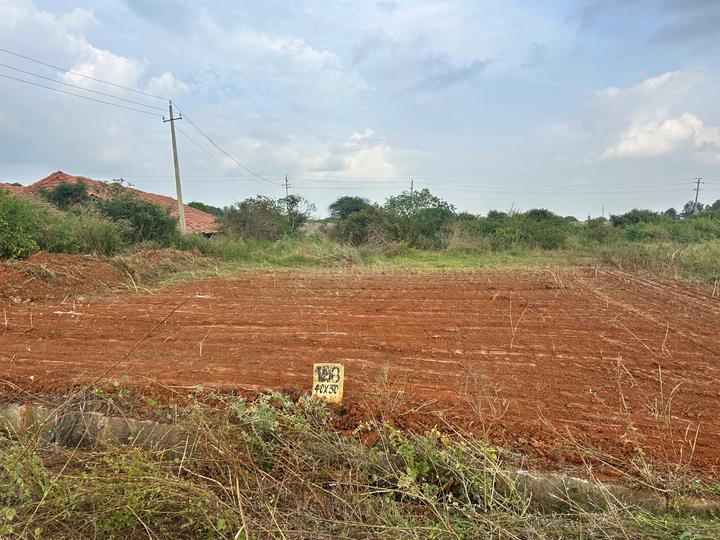 Smilee Nisarga Main Image 1