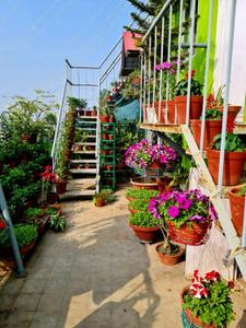Image of 2600 Sq.ft 4 BHK Penthouse for sale in Jadavpur, Kolkata for Rs. 16500000