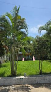 Image of 520 Sq.ft 1 BHK Apartment / Flat for sale in Truspace Paloma, Lohegaon, Pune for Rs. 4000000
