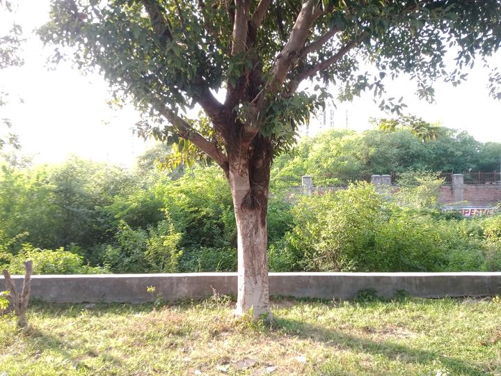 Rwa Sector 151 Main Image 1