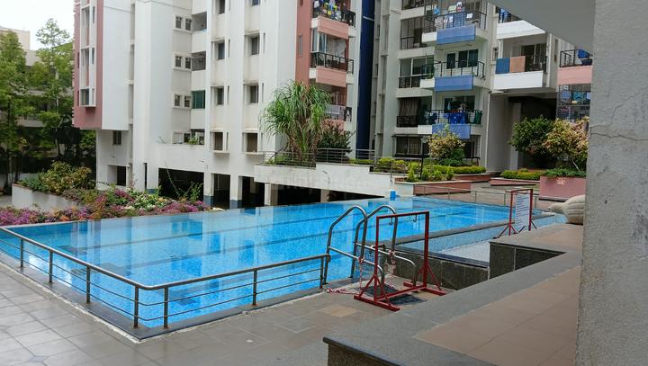 DSR Spring Beauty Main Image 1