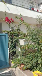 Balcony Image of Sweet home PG in Wave City, Ghaziabad