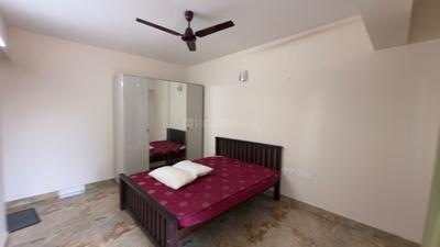 Bedroom Image of 1175 Sq.ft 2 BHK Apartment / Flat for rent in Kadri Mangalore for Rs. 28000
