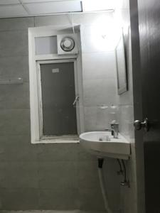 Common Bathroom Image of 920 Sq.ft 2.5 BHK Apartment / Flat for sale in Amrapali Dream Valley 2, Noida Extension Greater Noida for Rs. 6505050