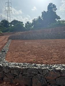 Image of 7405 Sq.ft Residential Plot / Land for sale in Kakkanad, Kochi for Rs. 1100000
