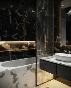 Bathroom Image of 5500 Sq.ft 6 BHK Independent House for sale in Sector 8 Chandigarh for Rs. 240000000