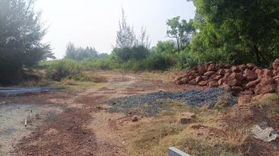 Image of 93108 Sq.ft 4 BHK Farm House for sale in Morjim, Goa for Rs. 1100000000