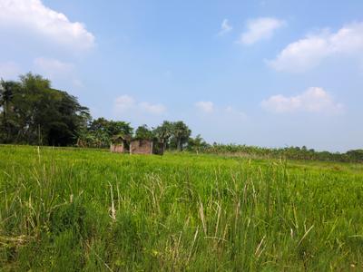 Image of 1440 Sq.ft Residential Plot / Land for sale in Natures Paradise, Joka, Kolkata for Rs. 449998