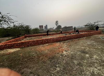 Dashauli Plot View 2