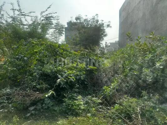 Sector M, Ashiyana Main Image 1