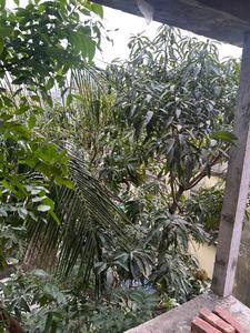 Balcony Image of 586 Sq.ft 1 BHK Apartment / Flat for sale in Dum Dum Cantonment Kolkata for Rs. 2461000