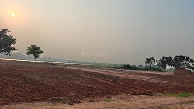 Image of 1125 Sq.ft Residential Plot / Land for sale in Rajpura, Patiala for Rs. 4112500