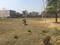 Cherki Aminabad Sherghati  Main Image 1