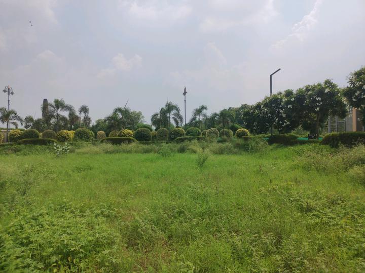 Mansha Oaks Main Image 1