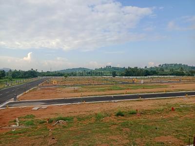 New Market Plot View 3