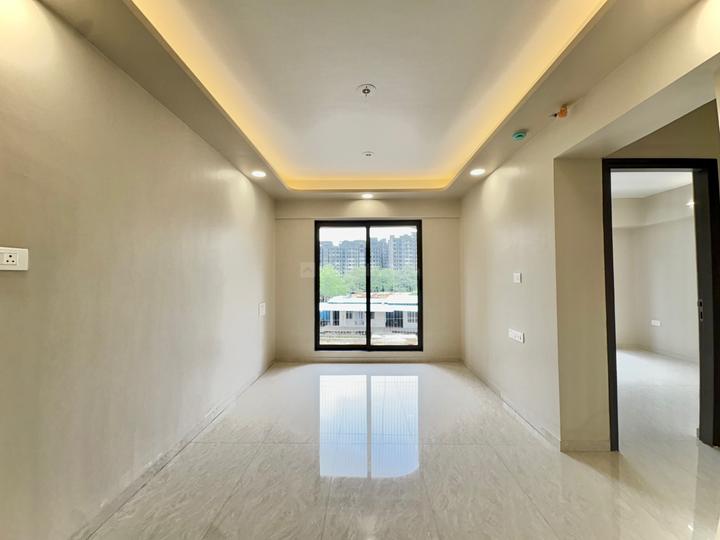 Amber Elegance Main Image 1