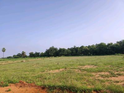 Image of 200 Sq.ft Residential Plot / Land for sale in Alair, Yadadri Bhuvanagiri for Rs. 1900002