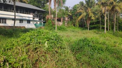 Image of 23084 Sq.ft Residential Plot / Land for sale in Thrippunithura, Kochi for Rs. 900000