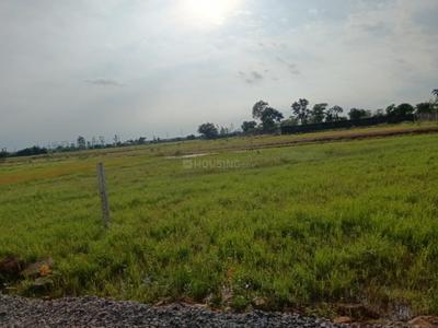 Image of 1000 Sq.ft Residential Plot / Land for sale in Datrenga, Raipur for Rs. 2350000
