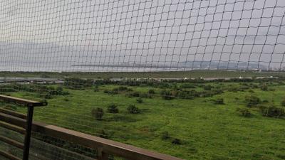 Image of 1090 Sq.ft 2 BHK Apartment / Flat for rent in Mayuresh Delta, Ulwe, Navi Mumbai for Rs. 55000