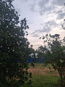 Image of 1200 Sq.ft Residential Plot / Land for sale in Othakalmandapam, Coimbatore for Rs. 2000000