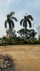 Image of 1800 Sq.ft Residential Plot / Land for sale in Swastik Kalpvriksh, Old Dhamtari Road, Raipur for Rs. 2862000