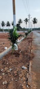 Image of 1200 Sq.ft Residential Plot / Land for sale in Jayapura, Mysore for Rs. 1992211