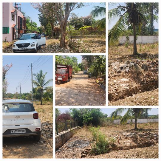 Karle Habitat Main Image 1