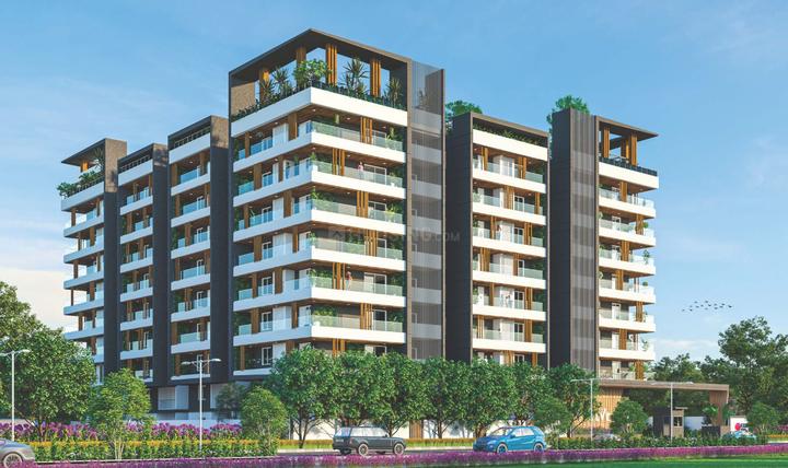 E11 Evolve Main Image 1