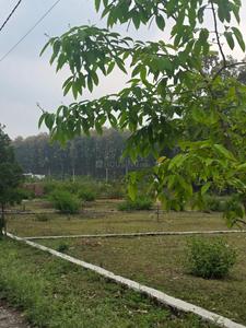 Dhaulas Plot View 3