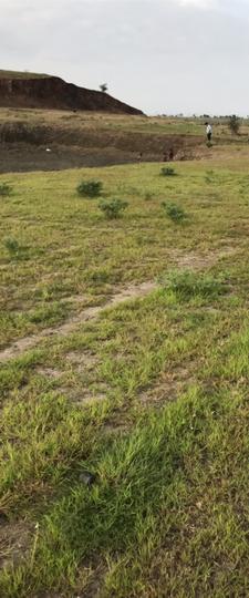 Yesh Greens Phase III Main Image 1