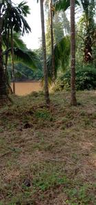 Image of 950 Sq.ft 2 BHK Independent House for sale in Oras Bk., Sindhudurg for Rs. 4000000