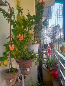 Balcony Image of 1250 Sq.ft 3 BHK Builder Floor for sale in Vasundhara Ghaziabad for Rs. 7800000