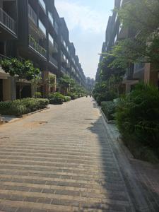 Image of 1717 Sq.ft 3 BHK Builder Floor for rent in Smartworld Orchard, Sector 61, Gurgaon for Rs. 51000