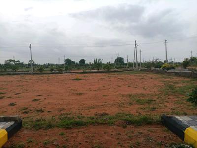 JB Group Plot View 2