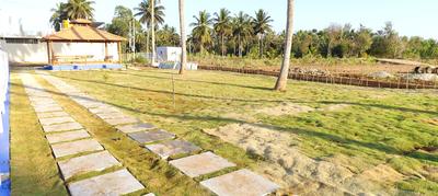 Peresandra Plot View 3
