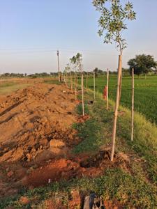 Image of 1000 Sq.ft Residential Plot / Land for sale in Naya Raipur, Raipur for Rs. 699000