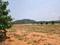 Kadthal Plot View 2